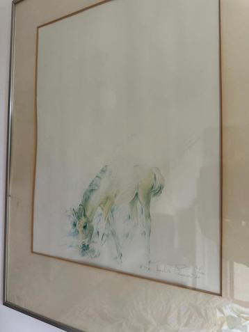 Frank de Brouwer paard 1980 21/250 beschikbaar voor biedingen