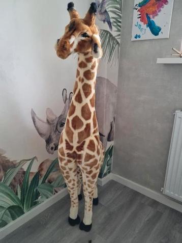 Mega giraffe knuffel -  140cm hoog beschikbaar voor biedingen
