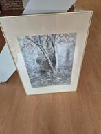 schilderij, Ophalen of Verzenden