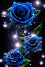 Diamond painting, Ophalen of Verzenden, Nieuw, Knutselwerk