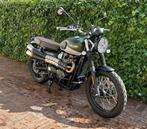 Triumph Street Scrambler 2019 als nieuw 3000km 900cc, Motoren, Motoren | Triumph, Naked bike, 900 cc, Particulier, 2 cilinders