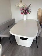 Eetkamer bankje en 2 eetkamer stoelen., Huis en Inrichting, Stoelen, Twee, Overige kleuren, Ophalen of Verzenden, Zo goed als nieuw