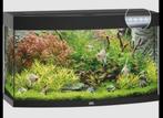 Juwel Vision 180 aquarium gebruikt, Dieren en Toebehoren, Vissen | Aquaria en Toebehoren, Ophalen