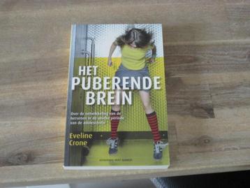 Eveline Crone het puberende brein  beschikbaar voor biedingen