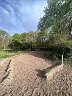 Stalgenootje gezocht voor fijne Paddock Paradise!, Dieren en Toebehoren, Stalling