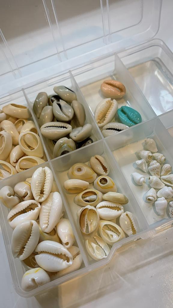 Kauri Schelpjes voor Sieraden - DIY, Hobby en Vrije tijd, Kralen en Sieraden maken, Nieuw, Kraal, Ophalen of Verzenden