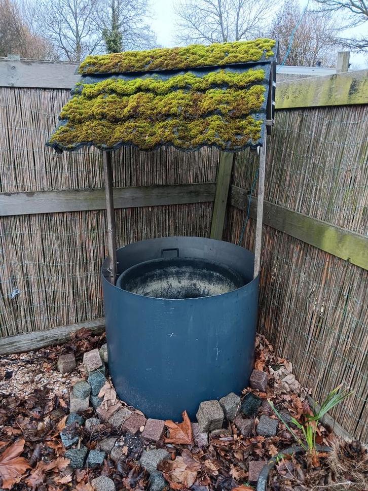 Tuindecoratie Wensput, Tuin en Terras, Planten | Bomen, Overige soorten, Minder dan 100 cm, Volle zon, Bloeit niet, In pot, Ophalen of Verzenden