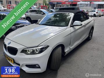 BMW 2-serie Cabrio 220i High Executive/AUT/Leder/SCHADE! beschikbaar voor biedingen