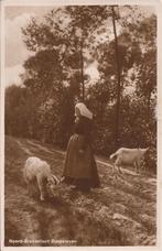 Brabants Dorpsleven Gilze Rijen Geiten Hoeden - W&S NBr 12, Verzenden, 1920 tot 1940, Gelopen, Noord-Brabant