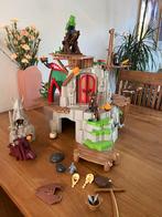 Playmobile berk 9243, Ophalen of Verzenden, Gebruikt, Complete set