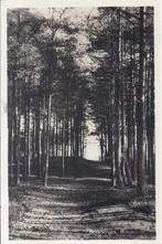 Beekbergen Bosgezicht Oude Gelopen Ansichtkaart ( B989 ), Verzamelen, Ansichtkaarten | Nederland, Ophalen of Verzenden, 1960 tot 1980