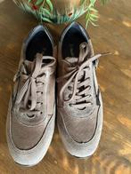 Nieuwe Hush Puppies Dames Sneakers - Maat 39, Kleding | Dames, Schoenen, Ophalen of Verzenden, Nieuw, Sneakers of Gympen