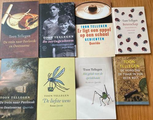 Toon Tellegen zie foto’s en omschrijving, Boeken, Overige Boeken, Zo goed als nieuw, Ophalen of Verzenden