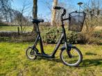 NRG loopfiets met mand voor volwassenen, Fietsen en Brommers, Steps, Ophalen, Zo goed als nieuw