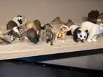 Schleich Dieren Collectie - Nieuwstaat!, Verzamelen, Dierenverzamelingen, Ophalen, Nieuw, Overige soorten, Beeldje of Figuurtje