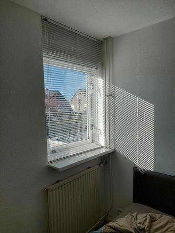 JALOEZIEEN (hor. + 1 vert.) 25 mm wit, diverse afmetingen beschikbaar voor biedingen