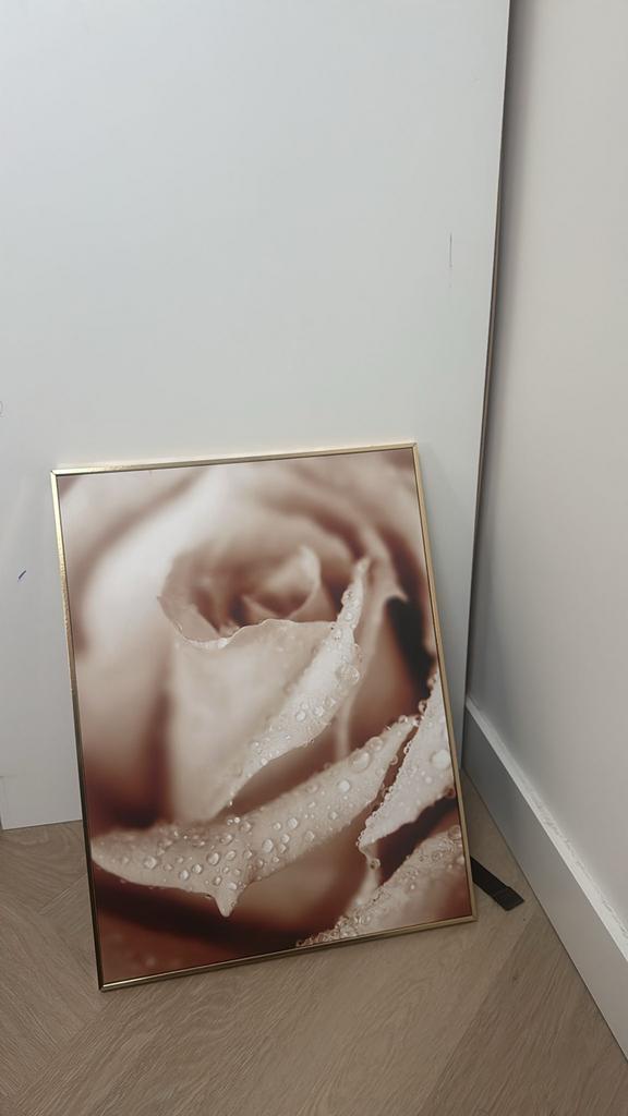 NIEUWe schilderij, Ophalen, Nieuw, Hout, Minder dan 50 cm