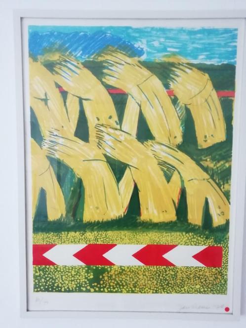 Jan Cremer - litho, Antiek en Kunst, Kunst | Litho's en Zeefdrukken, Verzenden