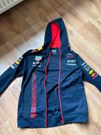 Max Verstappen kleding set, Ophalen, Formule 1