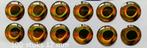 100 stuks bruin kleurig kunstaas ogen van 12 mm, Ophalen, Nieuw, Complete set