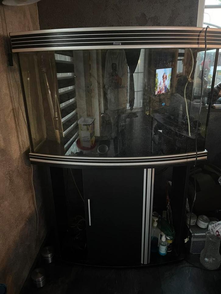 Trofis aquarium leeg, Dieren en Toebehoren, Vissen | Aquariumvissen, Zoetwatervis, Overige typen, Schoolvis