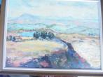 olieverf paneel landschap paletmes, Antiek en Kunst, Kunst | Schilderijen | Klassiek, Ophalen of Verzenden