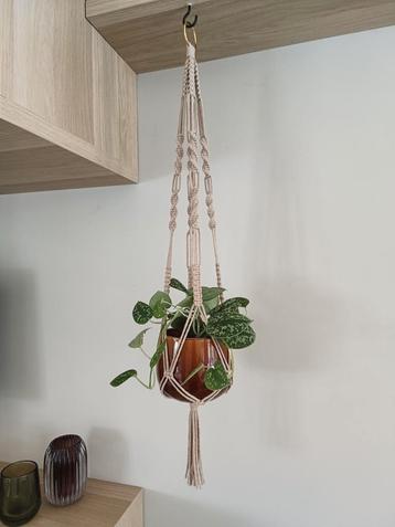 Macramé plantenhanger beschikbaar voor biedingen