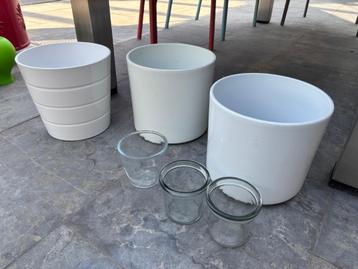 TeKoop Witte bloempotten beschikbaar voor biedingen