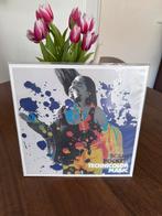 Scary Pockets - Technicolor Magic vinyl, Cd's en Dvd's, Vinyl | Pop, Ophalen of Verzenden, 2000 tot heden, Zo goed als nieuw