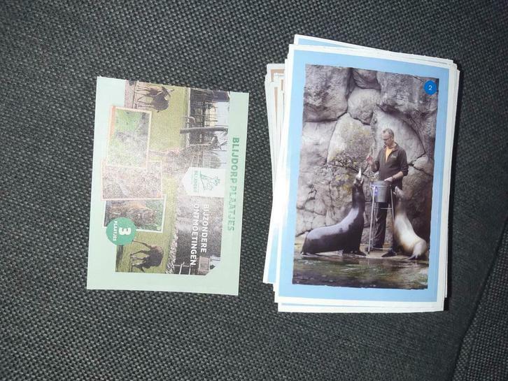 Bijna alle Jumbo Blijdorp plaatjes / stickers, Verzamelen, Supermarktacties, Jumbo, Ophalen of Verzenden