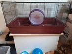 Hamsterkooi of cavia- of rattenkooi met accessoires erbij, Dieren en Toebehoren, Kooi, Hamster, Minder dan 75 cm, Zo goed als nieuw