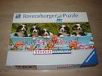 Puzzel Ravensburger Panorama BERNESE MONTAIN DOGS 1000 st., Ophalen of Verzenden, 500 t/m 1500 stukjes, Zo goed als nieuw, Legpuzzel