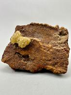 Adamiet op Limoniet – Ojuela Mine, Mexico, Ophalen of Verzenden, Mineraal