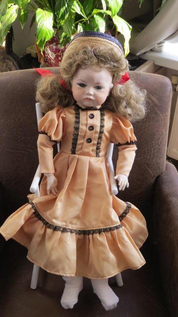 Grote Pruil Pop SFJB gemerkt beschikbaar voor biedingen