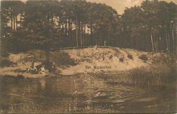 (301-069-037) Nederland Het morgenbad beschikbaar voor biedingen