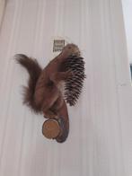 Opgezette eekhoorn met dennenappel, Ophalen of Verzenden, Gebruikt