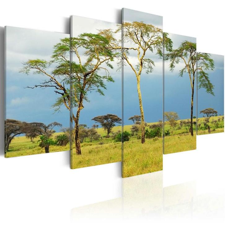 1017 Afrika Natuur 5 Luik Schilderij 200x100cm Nieuw, Huis en Inrichting, Woonaccessoires | Schilderijen, Tekeningen en Foto's