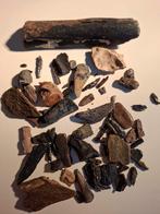 Fossiele botten, Ophalen of Verzenden, Fossiel