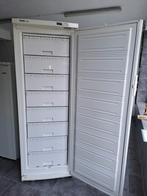 Miele diepvrieskast, Gebruikt, 160 cm of meer, Energieklasse A of zuiniger, Ophalen