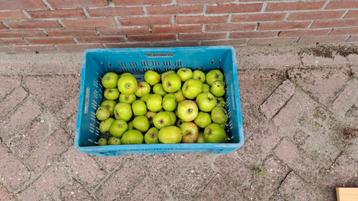 Apples Jonagold beschikbaar voor biedingen