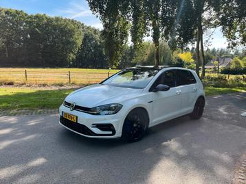 Volkswagen Golf 2.0 AUT 2017 Wit beschikbaar voor biedingen