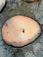 Boomstam schijf schijfjes, Ophalen, Zo goed als nieuw