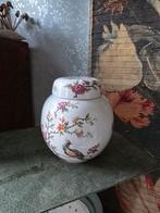 Gemberpot paradijsvogel, Ophalen of Verzenden