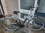 Raleigh damesfiets igst, Versnellingen, Ophalen, Overige merken, 53 tot 56 cm