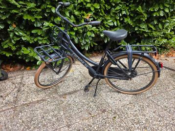 Cortine U4  beschikbaar voor biedingen
