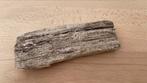 Versteend hout (fossiel), Ophalen of Verzenden, Fossiel