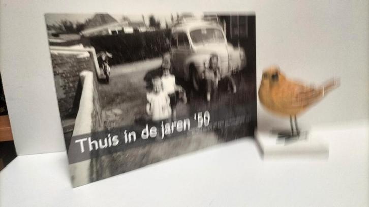 Boer, Peter; Thuis in de jaren ‘50, Boeken, Geschiedenis | Vaderland, Gelezen, Ophalen of Verzenden