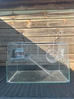Hamsterkooi met glazen onderbak en metalen bovenkant, Dieren en Toebehoren, Knaagdieren en Konijnen | Hokken en Kooien, Kooi, Minder dan 75 cm