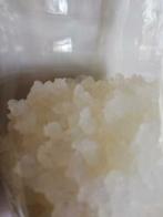 Te Koop Waterkefir /Water Kefir nieuw, Ophalen of Verzenden