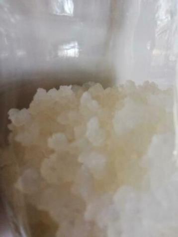 Te Koop Waterkefir /Water Kefir nieuw beschikbaar voor biedingen